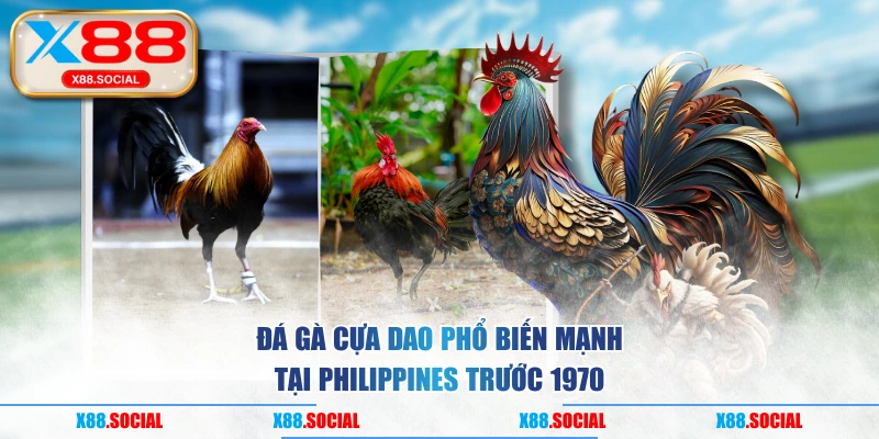 Đá gà cựa dao phổ biến mạnh tại Philippines trước 1970