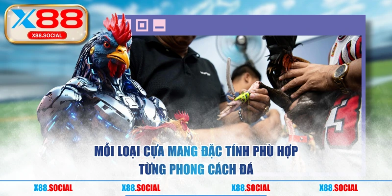 Mỗi loại cựa mang đặc tính phù hợp từng phong cách đá